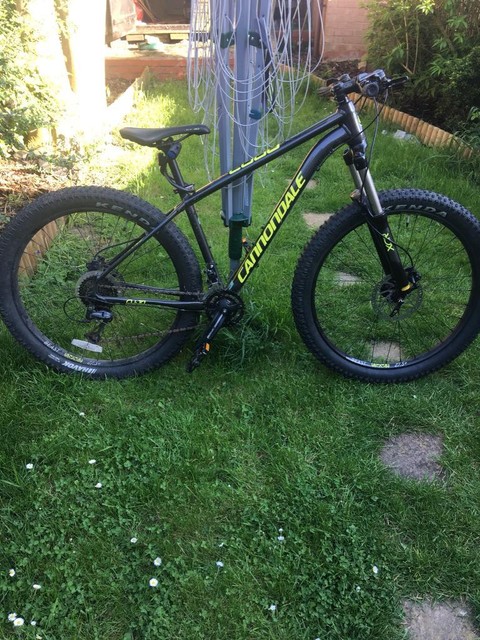 cannondale cujo 3 for sale